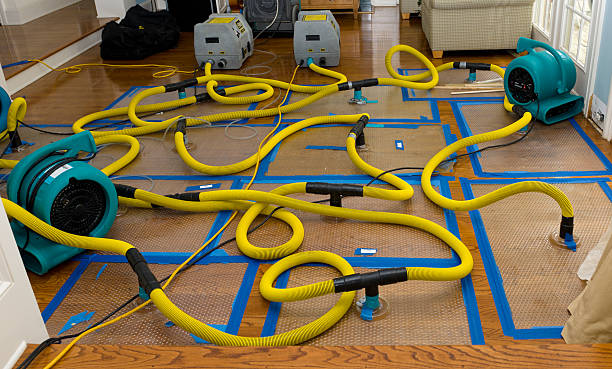 Professional Crawl Space Water Removal technician working in Callaway, MD